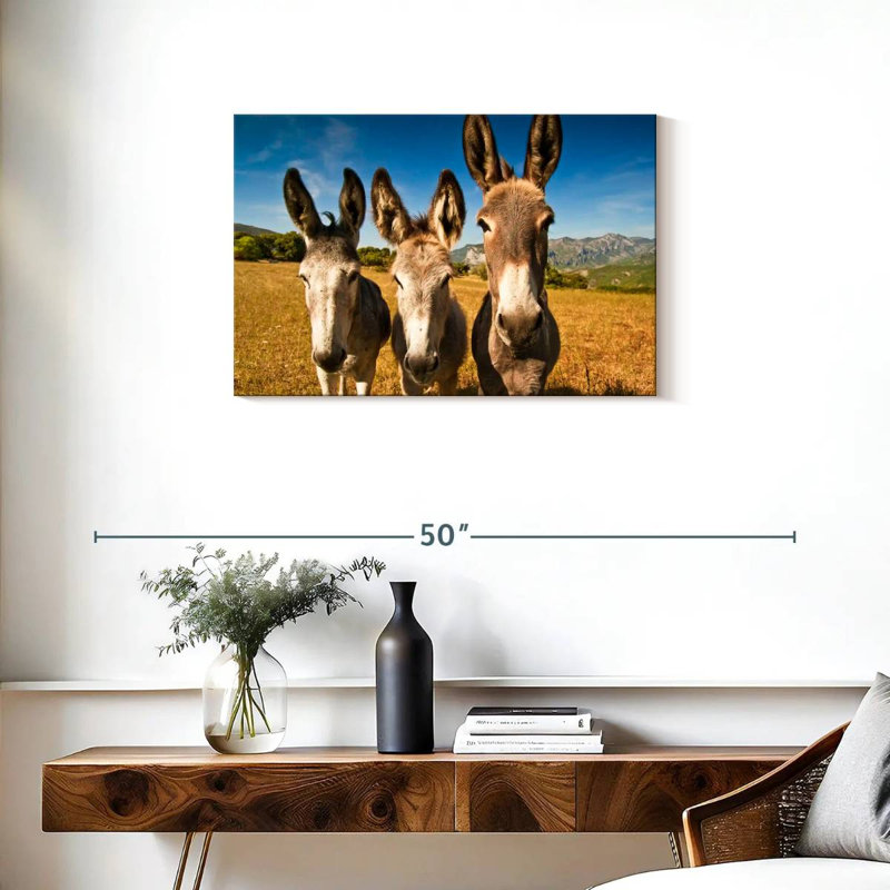 Brampt Donkey Trio, H 20 po x l 30 po