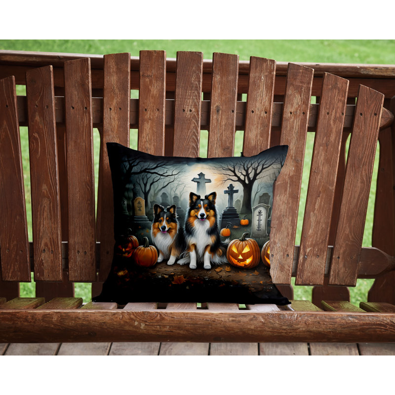  Housse et insert de coussin décoratif en polyester, 14 po x 14 po
