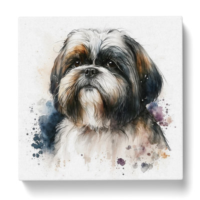 Shih Tzu Watercolour - Wrapped Canvas