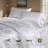 Reversible Jacquard Satin Silk Bedding Set, Queen Size Luxury Microfiber Duvet Cover & Pillow Shams,ideal For Master Bedroom Home Staging