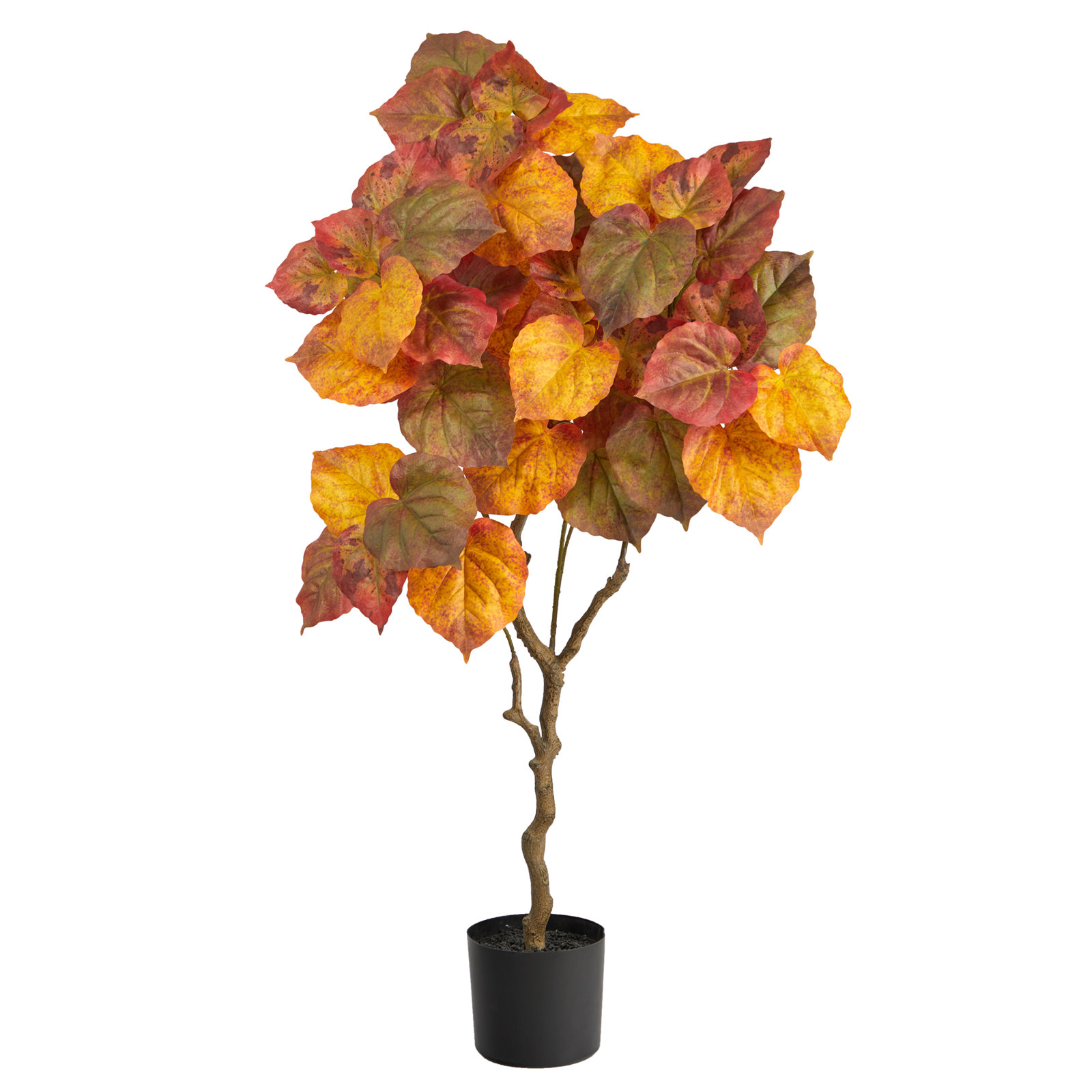 Tree in Pot Liner