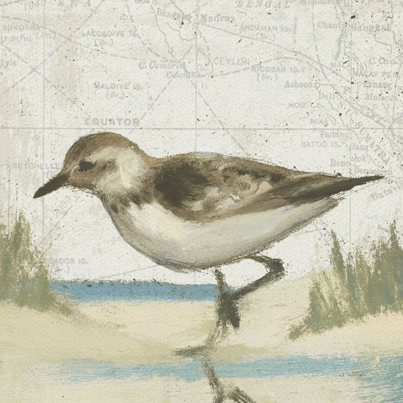«Beach Bird IV» par James Wiens - reproduction d'art sur toile tendue, H 30 po x l 30 po