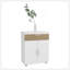 Range-chaussures, 3 portes, 3 tablettes, 4 pieds, chêne blanc / naturel