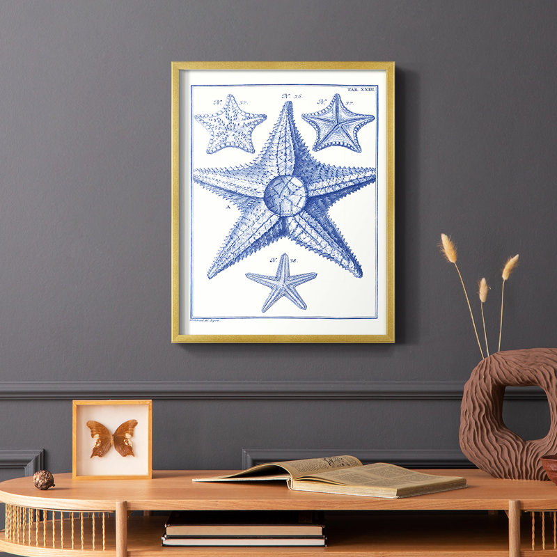 Blue Sea Stars VI, reproduction encadrée - bois massif, Or, H 28 po x l 22 po