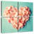 Hardie Pink Heart