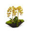 Orchid Floral Arrangement in Metal Planter-1631569096