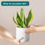 FLHPOT Ceramic Pot Planter