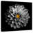 Harnek Grey Flower-109387652