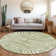 Chayden Area Rug