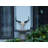 Maryona Bone-Inspired Bull Head Hanging Ornament in Resin Craft-109841987