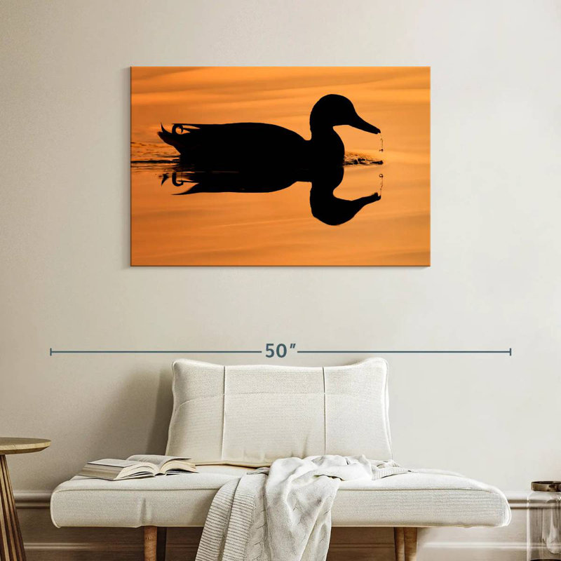 Silhouette de canard colvert Brampt