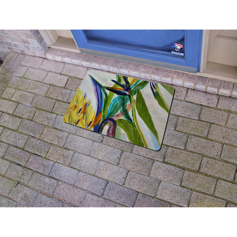 Tapis d'entrée antidérapant Janes Paradise II 26 po x 18 po