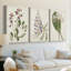 Antique Botanical Collection I - Toile tendue avec châssis sur mesure - 3 pièces-344768220
