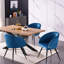 Villanova 4 - Person Solid Oak Dining Set-1285432972