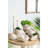 11.5X7x7 Inches Beige Sand And Cement Shell Planter Ideal For Succulents In A Rustic Bedroom Kitchen