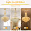 Alarica 10 - Light Chandelier