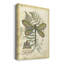 Regal Dragonfly I (PP) - impression sur toile tendue-317858976
