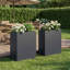 Planter Box-1971308672-1971308673