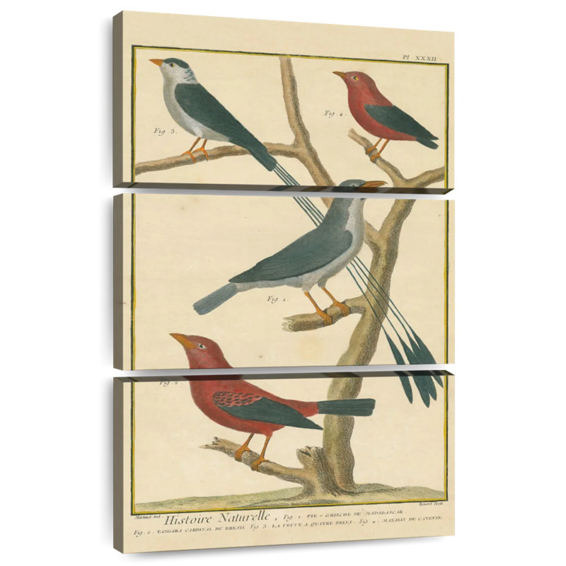 Brampt Bird Drawing I, 50" H x 32" W
