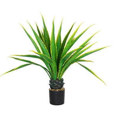 Agave Panama Real Touch en pot