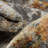 Ladavian Abstract Indoor Rug-83561347