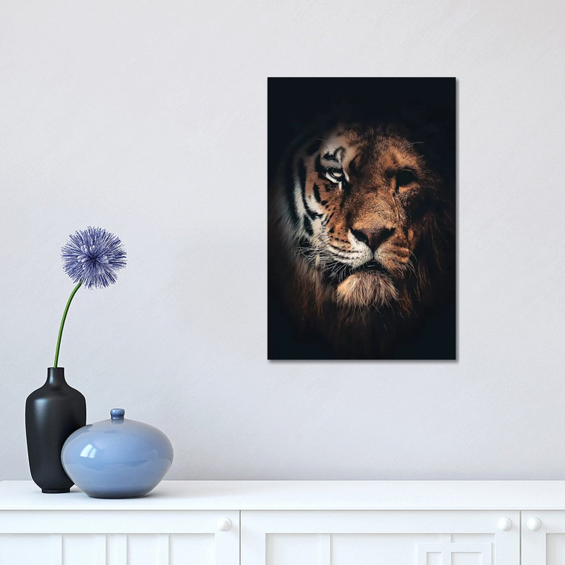 Half Tiger Half Lion by Zenja Gammer - Print on Canvas, 30.48 cm H x 45.72 cm W, Wrapped Canvas
