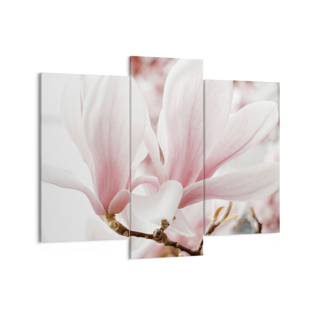 3-tlg. Leinwandbilder-Set Twig Magnolia Flower