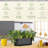 BENEHORTI Hydroponic Unit with Seeds Included