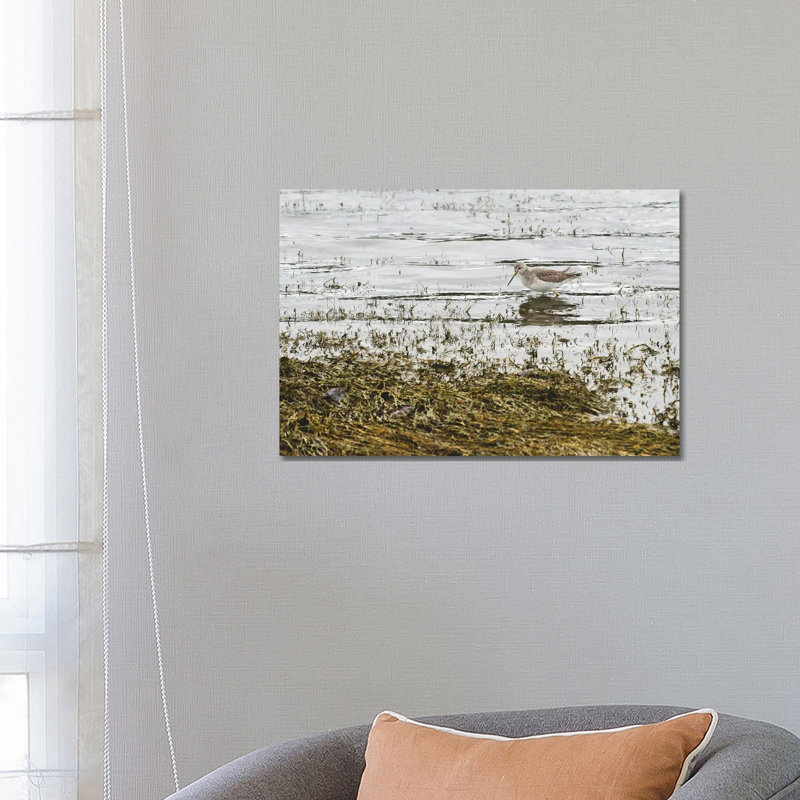 Sand Piper Water Fowl by Louis Ruth - Wrapped Canvas Print, 66.04 cm H x 45.72 cm W x 3.175 cm D