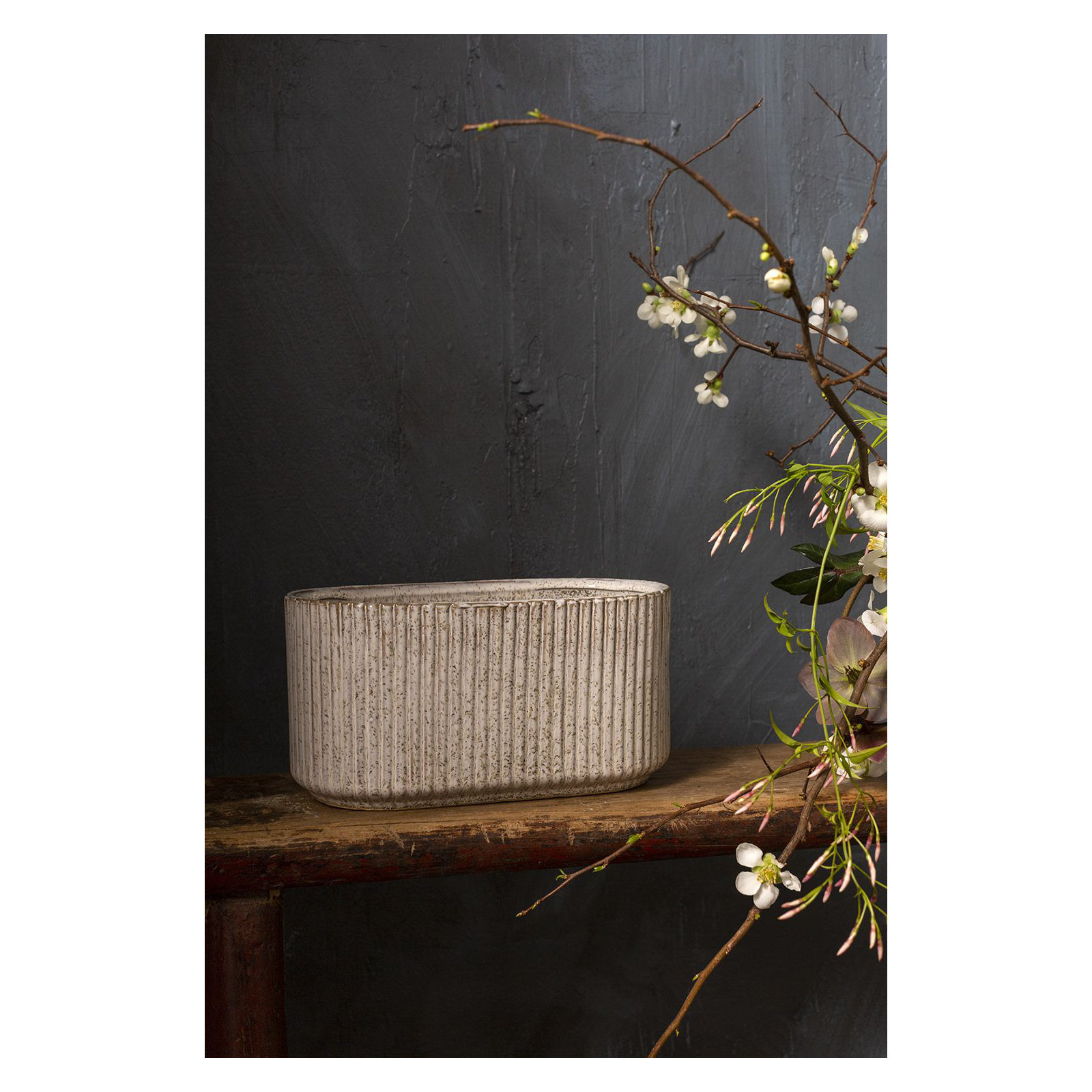 Williar Ceramic Pot Planter, 5.25" H x 9" W x 4.75" D