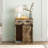 Runcorn Accent Cabinet