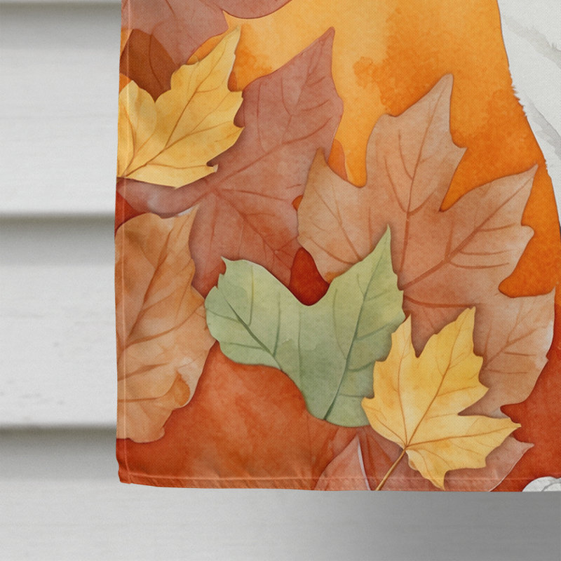Chat en feuilles d'automne, American Shorthair