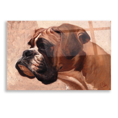 " Boxer "