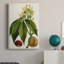 Arbres à fleurs antiques VI - peinture sur toile tendue-251845365