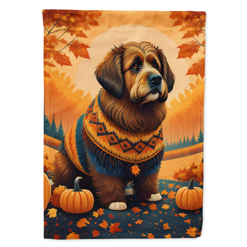 Drapeau de jardin Briard Fall