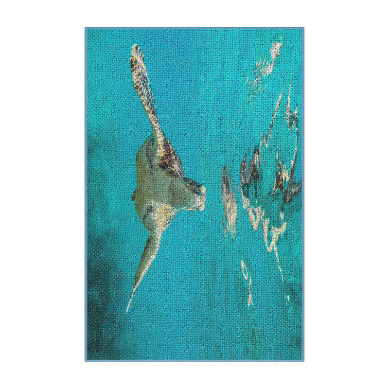 Tapis de la surface bleu tortue, Rectangle 5 pi x 7 pi