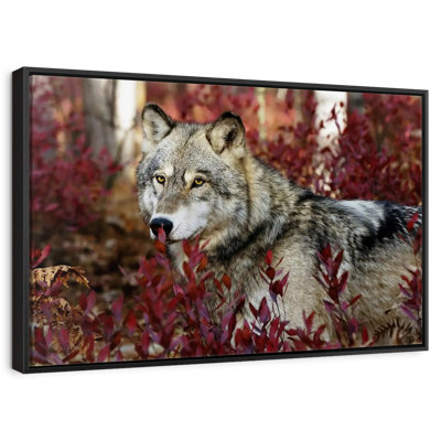 Hiding Timber Wolf
