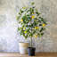 Faux Lemon Tree in Pot