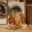 Tapis damassé chic et luxueux lavable à la machine en brun Pahola - reliure brun clair-32335587