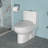 Ceramic One Piece Toilet, Dual Flush With Soft Closing Seat