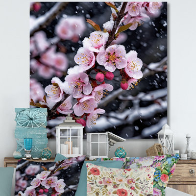 Fleur de cerisier en hiver I