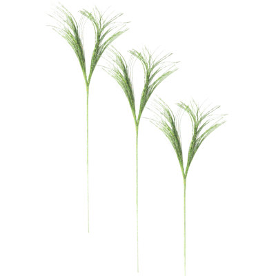 None Arrangement