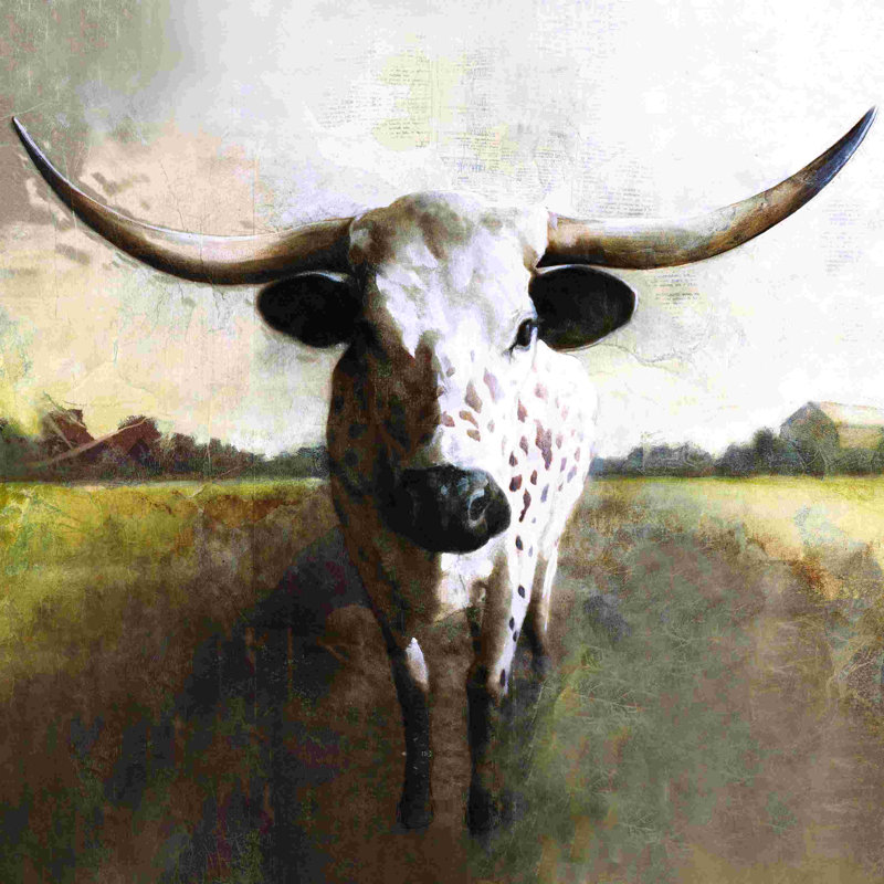 " Spotted Cow " by White Ladder, 12" H x 12" W, Wrapped Canvas, No