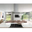 Zephyr Vista 42 in. Island Mount Range Hood with LED Lights in Stainless Steel-1213196061
