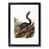 Black Framed selected