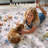Goldene Animal & Insect Machine Washable Area Rugs with Non-Slip Backing for Living Room, Dining Room, Bedroom-1729041882