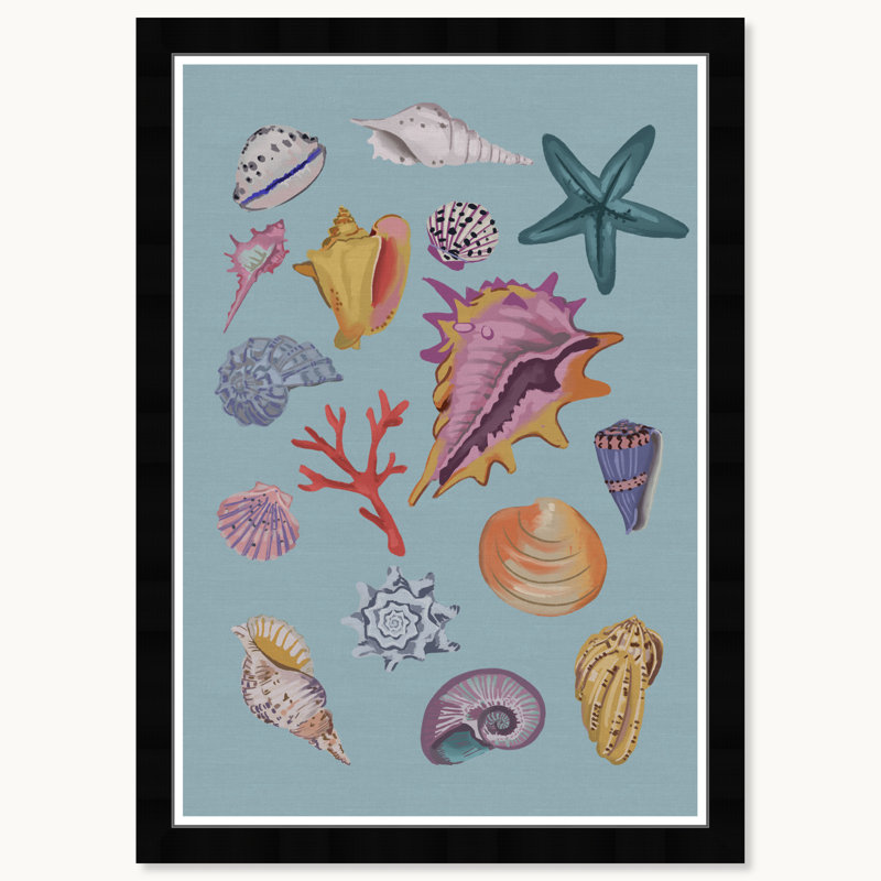 Collection Under Sea II, Cadre noir
