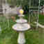 Customer photo 2 of 2