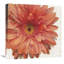 « vif red cascade », reproduction d’art sur toile-470899539-467526313