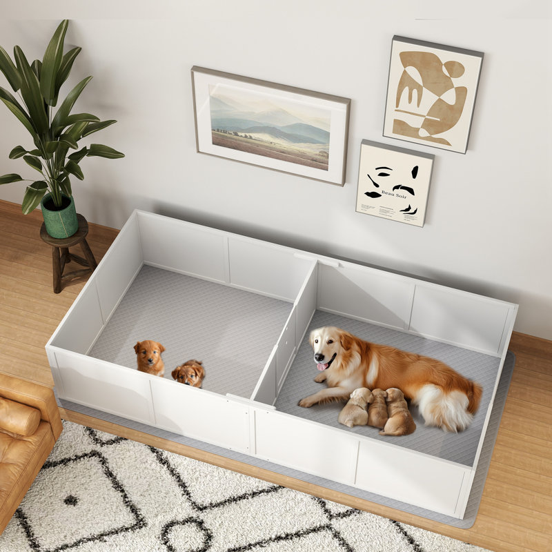 Boîte de mise bas pour chiens et chiots avec patin lavable imperméable et porte réglable pour les grandes, moyennes et petites races